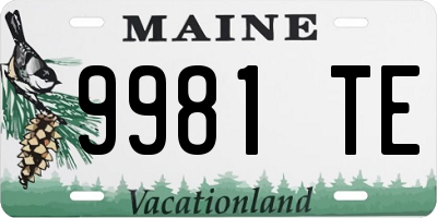 ME license plate 9981TE