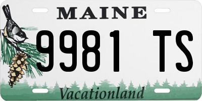 ME license plate 9981TS
