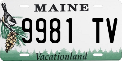 ME license plate 9981TV