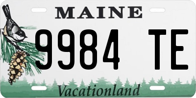 ME license plate 9984TE