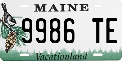 ME license plate 9986TE