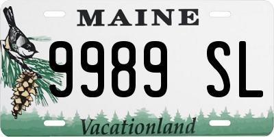 ME license plate 9989SL