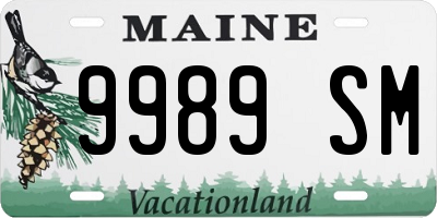 ME license plate 9989SM