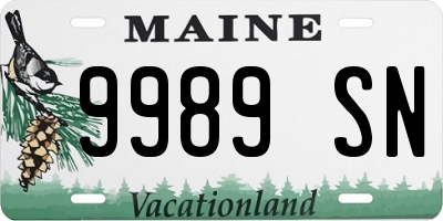 ME license plate 9989SN