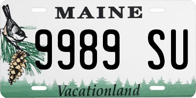 ME license plate 9989SU