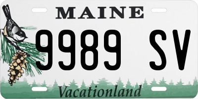 ME license plate 9989SV