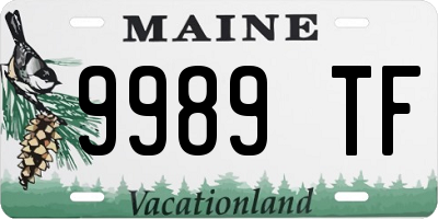 ME license plate 9989TF