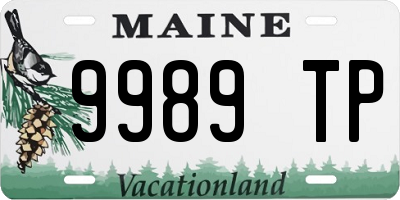ME license plate 9989TP