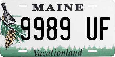 ME license plate 9989UF