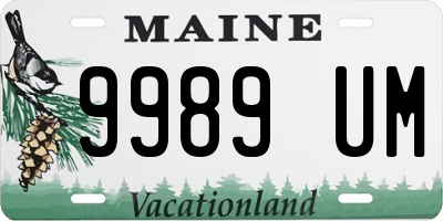 ME license plate 9989UM