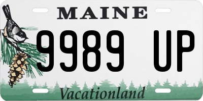 ME license plate 9989UP