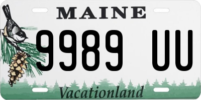 ME license plate 9989UU