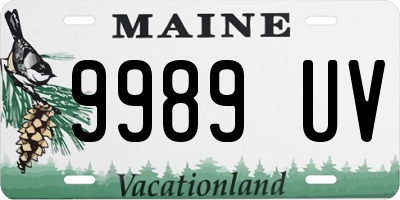 ME license plate 9989UV