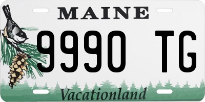 ME license plate 9990TG