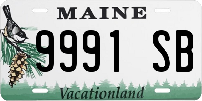 ME license plate 9991SB