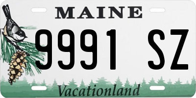 ME license plate 9991SZ