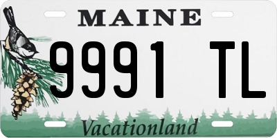 ME license plate 9991TL