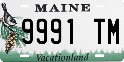 ME license plate 9991TM