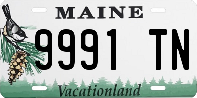ME license plate 9991TN