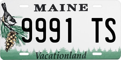 ME license plate 9991TS