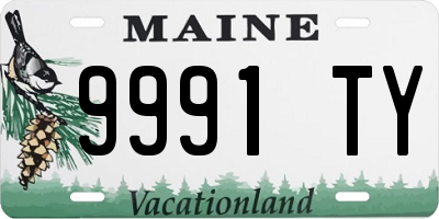 ME license plate 9991TY