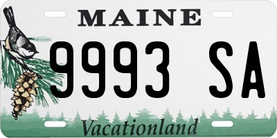 ME license plate 9993SA