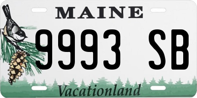 ME license plate 9993SB