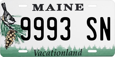ME license plate 9993SN