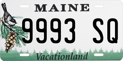 ME license plate 9993SQ