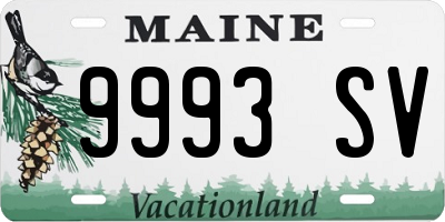 ME license plate 9993SV