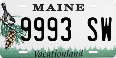ME license plate 9993SW