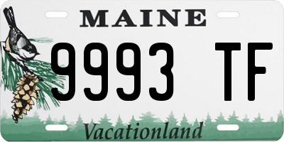 ME license plate 9993TF