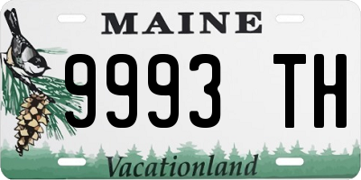 ME license plate 9993TH