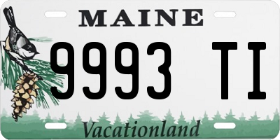 ME license plate 9993TI