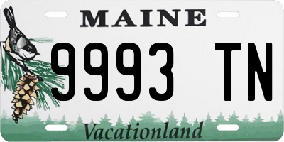 ME license plate 9993TN