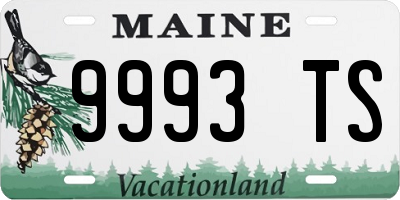 ME license plate 9993TS