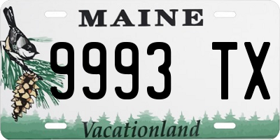 ME license plate 9993TX