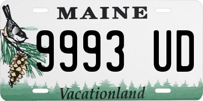 ME license plate 9993UD