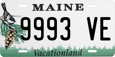 ME license plate 9993VE
