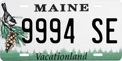 ME license plate 9994SE