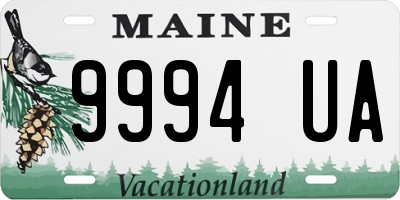 ME license plate 9994UA
