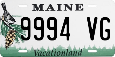 ME license plate 9994VG