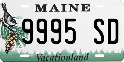ME license plate 9995SD