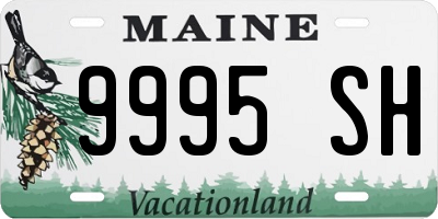 ME license plate 9995SH