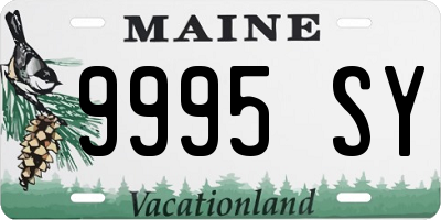 ME license plate 9995SY