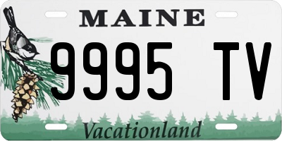 ME license plate 9995TV