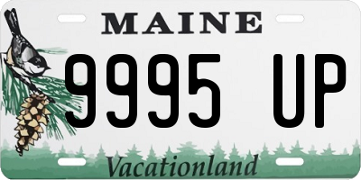 ME license plate 9995UP