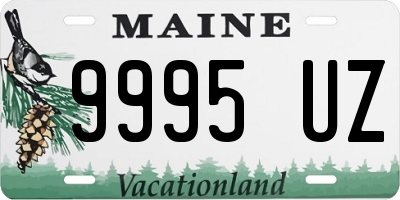 ME license plate 9995UZ