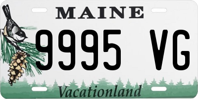 ME license plate 9995VG