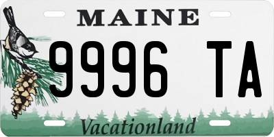 ME license plate 9996TA